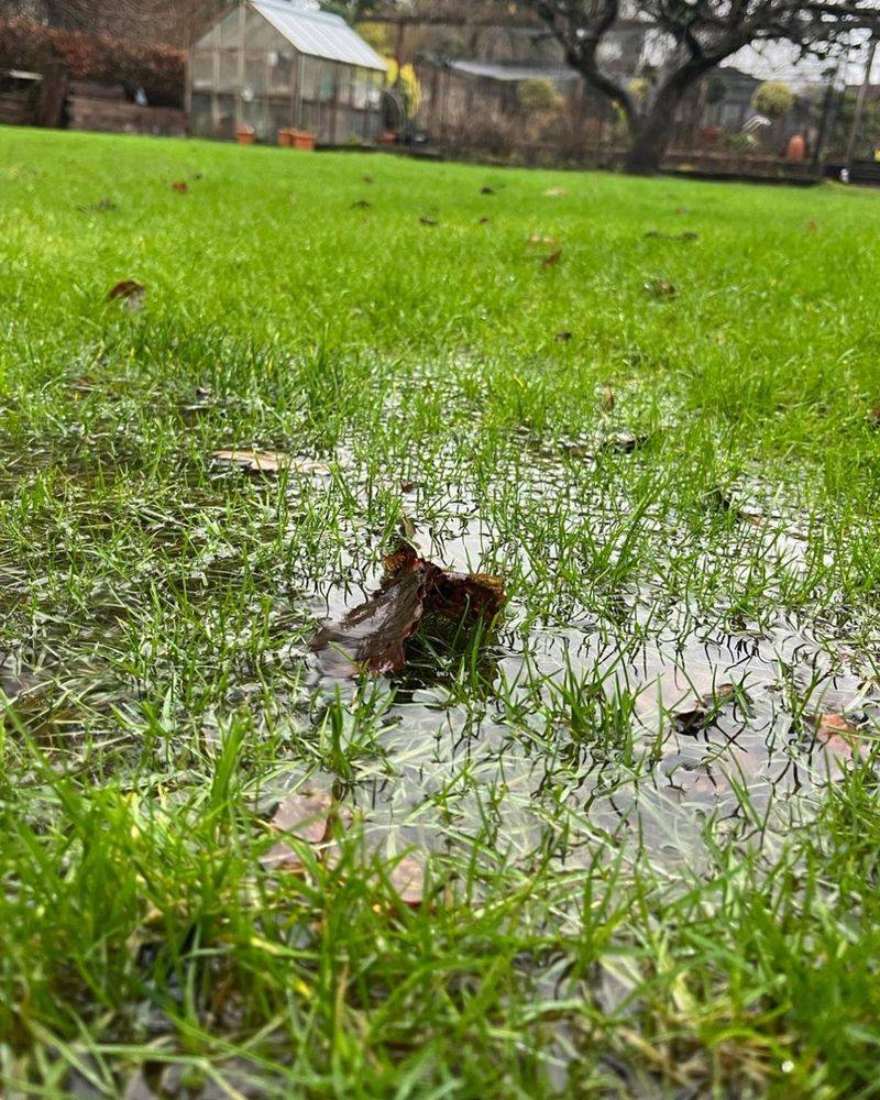 Stay Off The Lawn While Soil Is Saturated