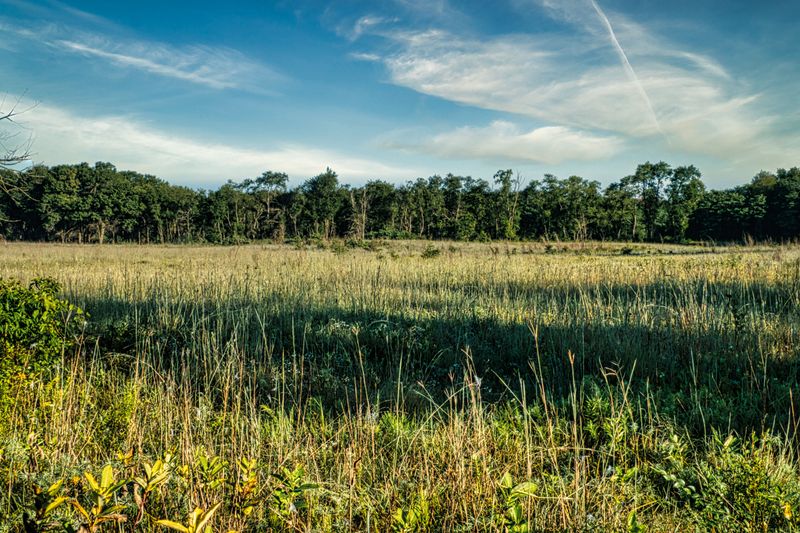 Steady Habitat That Holds Up Season After Season Steady Habitat That Holds Up Season After Season