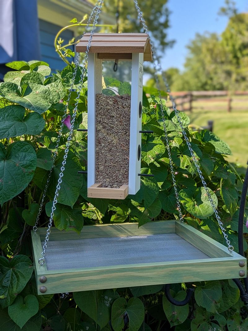 Stop Spilled Seed From Turning Into A Rodent Buffet Stop Spilled Seed From Turning Into A Rodent Buffet