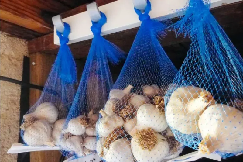 Store properly cured bulbs in a cool, dry place Store properly cured bulbs in a cool, dry place