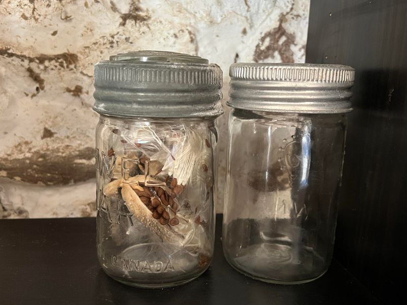 Storing Seeds In The Wrong Place Storing Seeds In The Wrong Place