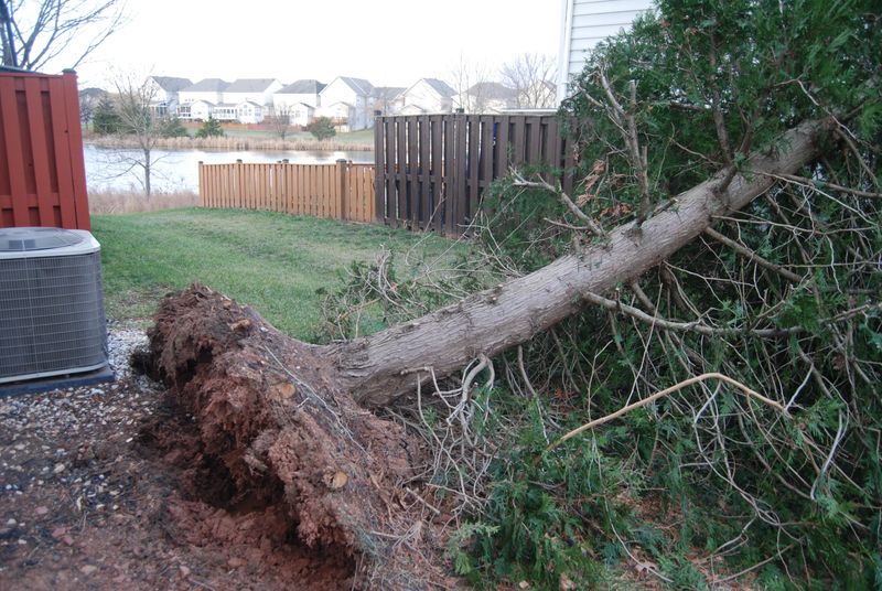 Storm Damage Changes Who Covers The Costs