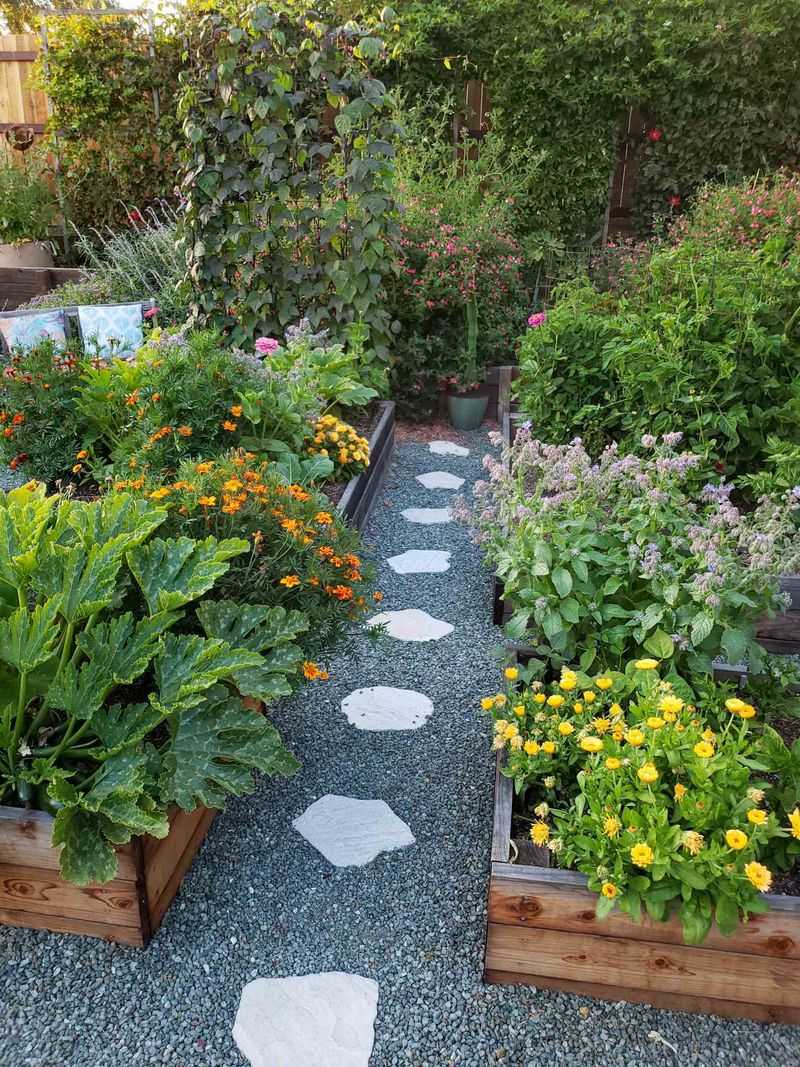 Strategic Companion Planting With Rosemary, Borage, and Dill
