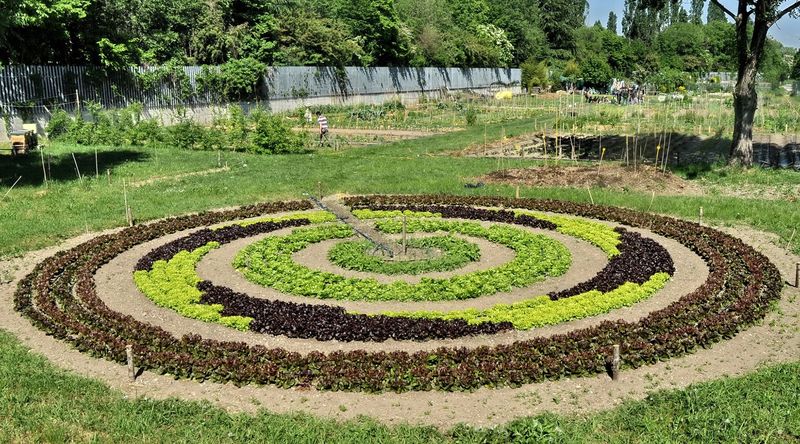 Submit Flower Bed Changes Before Fall Color Arrives