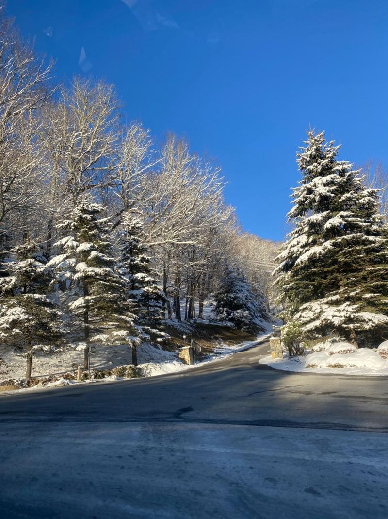 Sugar Mountain And Its Namesake Maples Sugar Mountain And Its Namesake Maples