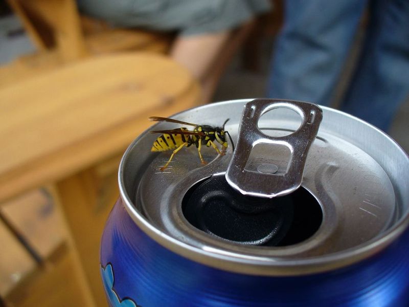 Sugary Drinks And Food Outdoors Sugary Drinks And Food Outdoors