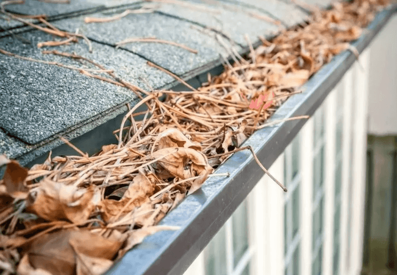 Summer Debris Builds Up Without You Noticing Summer Debris Builds Up Without You Noticing