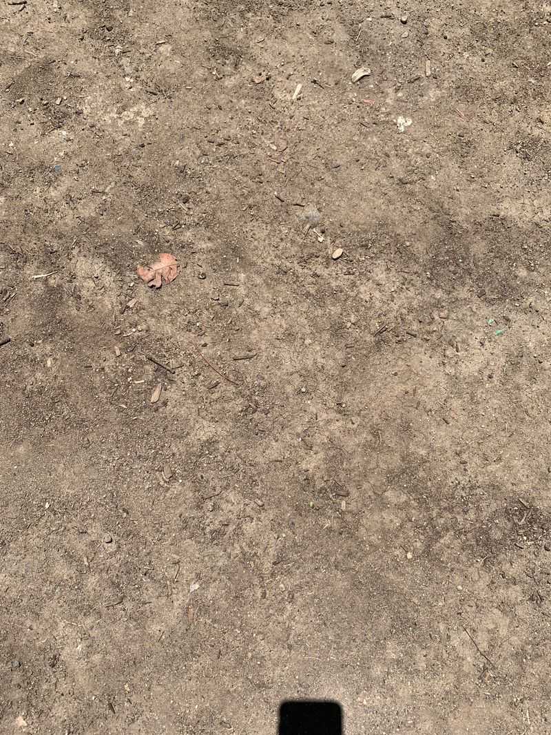 Summer Heat Pulls Moisture Out Of The Soil