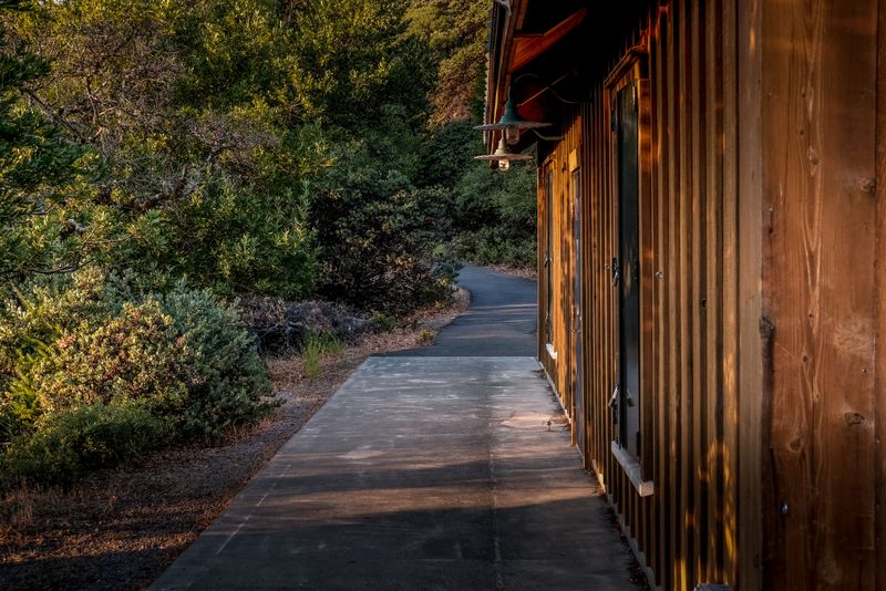 Sun-Warmed Siding Turns Into A Landing Strip