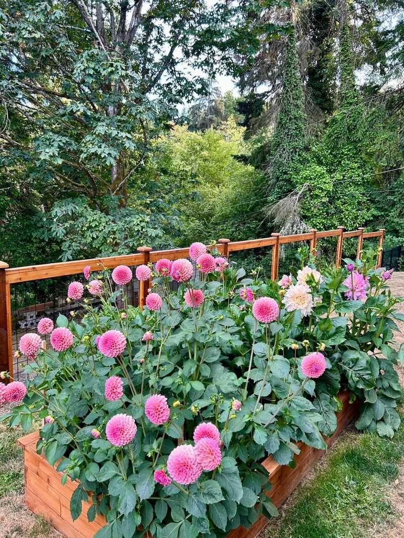 Support Tall Stems Before Storm Winds
