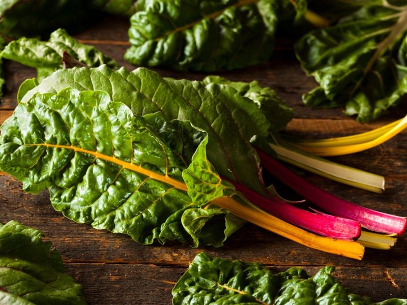 Swiss Chard Swiss Chard