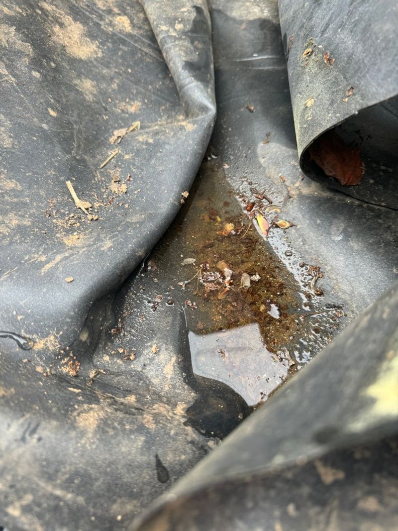 Take Tiny Pockets Of Trapped Water Seriously