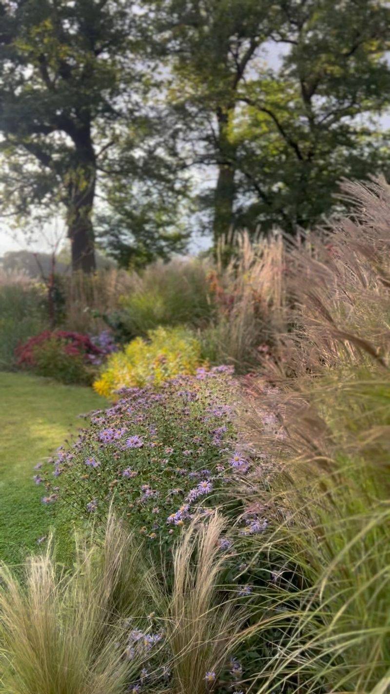 Tall Grass And Brush Provide Hiding Places Tall Grass And Brush Provide Hiding Places