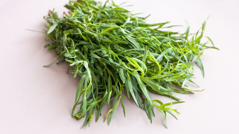 Tarragon Has One Last Harvest Before Winter