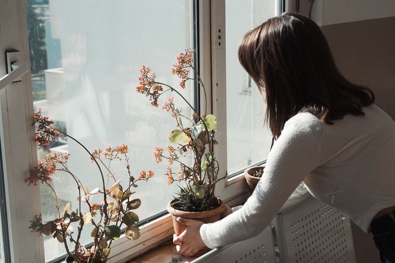 Telling Friend From Look-Alike On Your Windowsill
