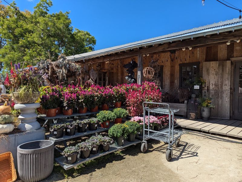 Terrain At Styer's - Glen Mills