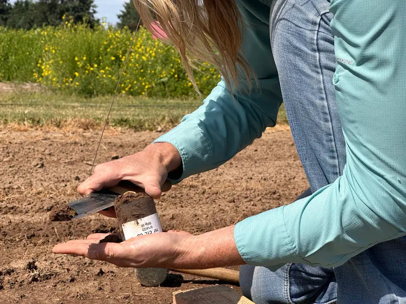 Test Arizona Soil Before Adding Nutrients