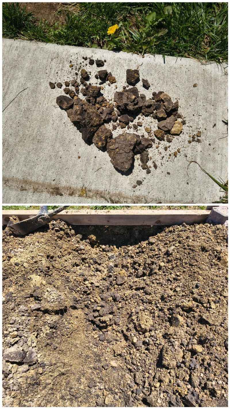 Test Garden Soil After The Final Harvest Test Garden Soil After The Final Harvest