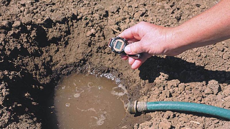 Test Soil Drainage First Test Soil Drainage First