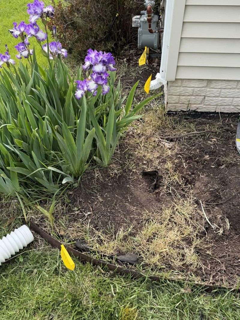 Test The Drainage Before Winter Rains Arrive