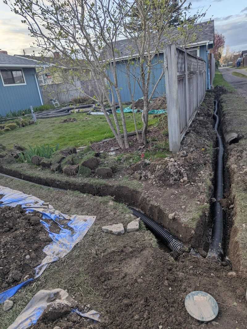 Test Your Drainage Before The First Big Storm Test Your Drainage Before The First Big Storm