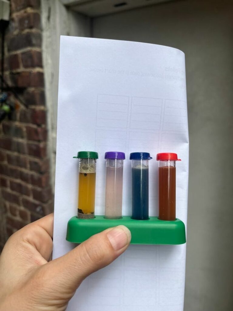 The Florida Guide To Vibrant And Healthy Soil During The Summer Rainy ...