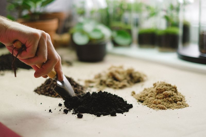 Testing The Soil Before Anything Else Happens