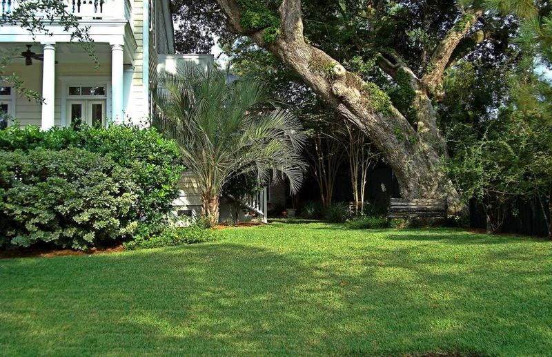 That Deep Green Color Can Be Hiding A Shade Problem