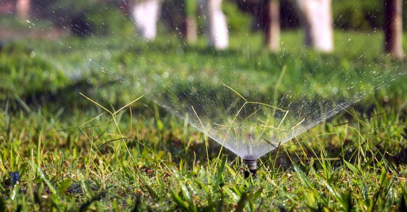 That Evening Watering Routine May Be Keeping Grass Wet Too Long