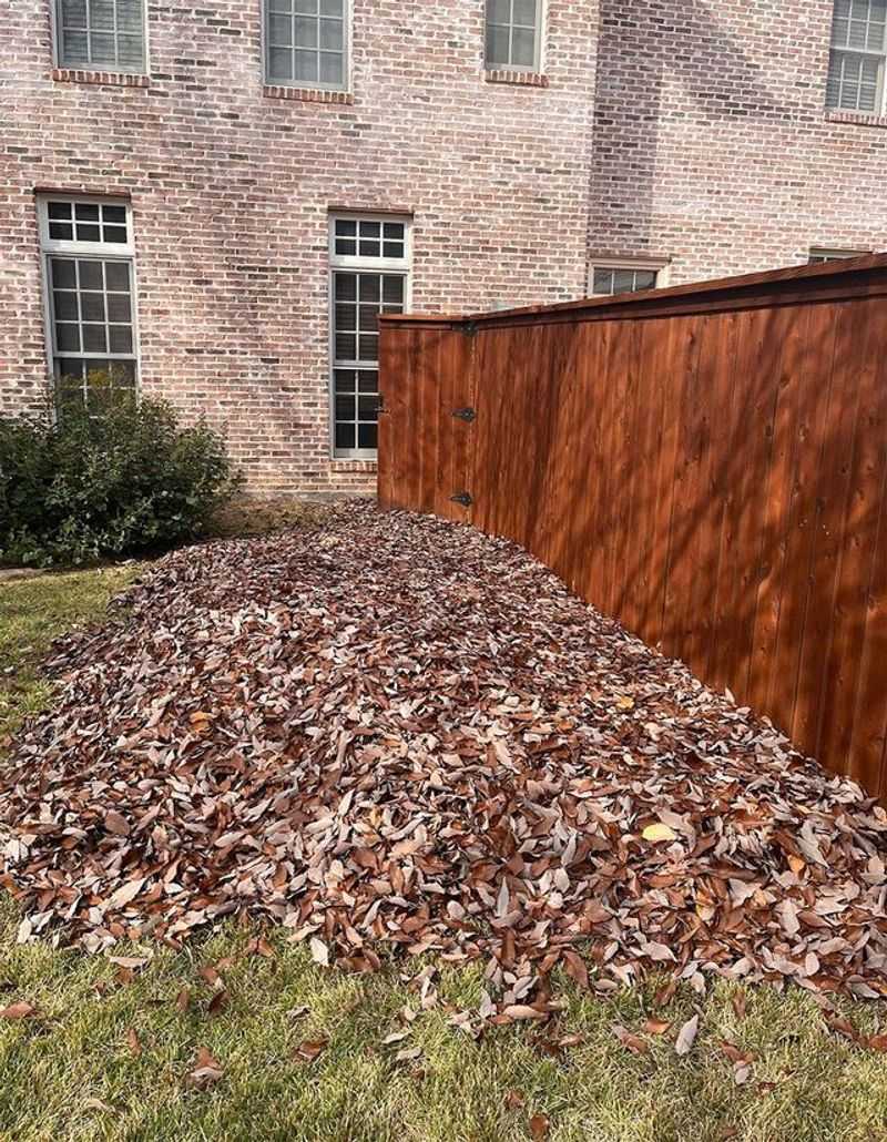 That Pile Of Leaves By Your Fence Is Basically A Snake Welcome Mat