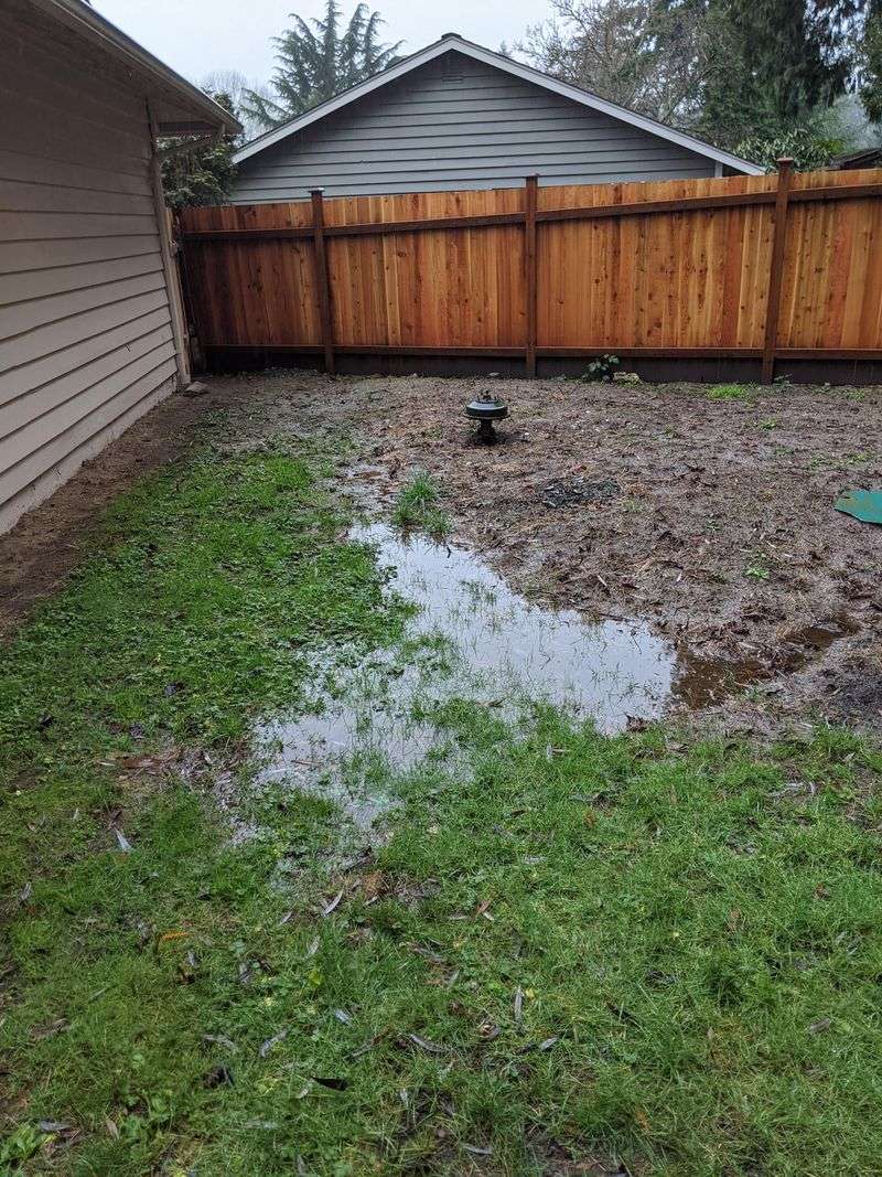 That Soggy Part Of The Yard May Have Another Solution