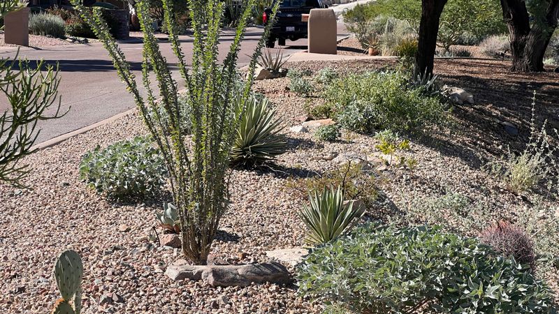 The Arizona Border Plant Is Not the Tick Barrier the Title Implies