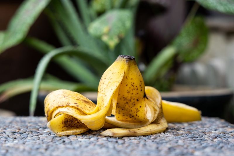 The Banana-Peel Bloom Promise Is Not Proven in Low-Desert Arizona