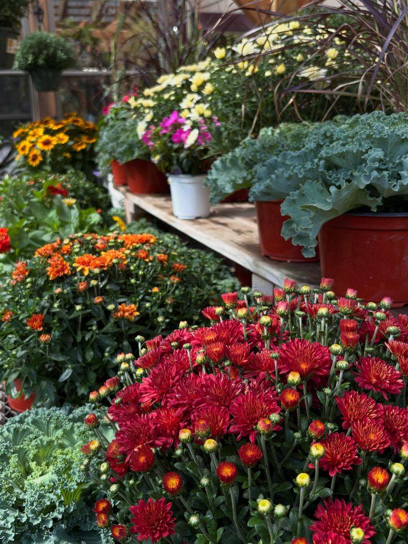 The Calendar Problem With September Planting