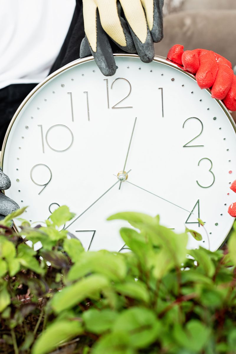 The Cold Night Deadline Many Plant Owners Miss The Cold Night Deadline Many Plant Owners Miss