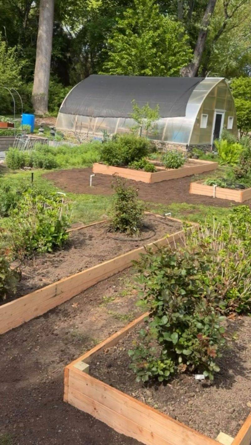 The Composting Mistake That Can Hurt Your Garden