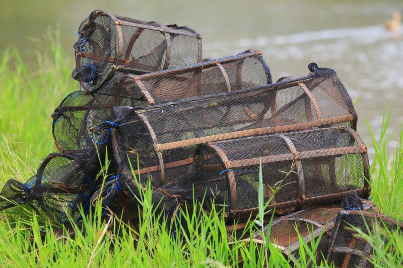 The Costly Trap Set For The Wrong Suspect The Costly Trap Set For The Wrong Suspect