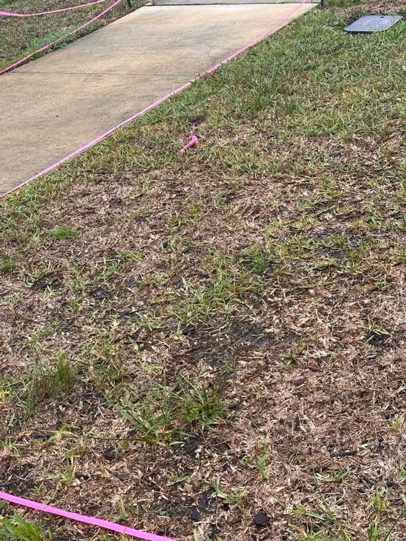 The Documents To Check Before Digging Up Grass