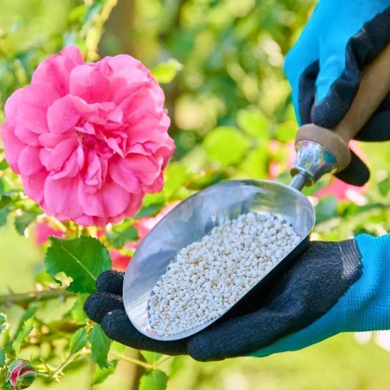 The Fertilizer Myth Most Maryland Gardeners Repeat
