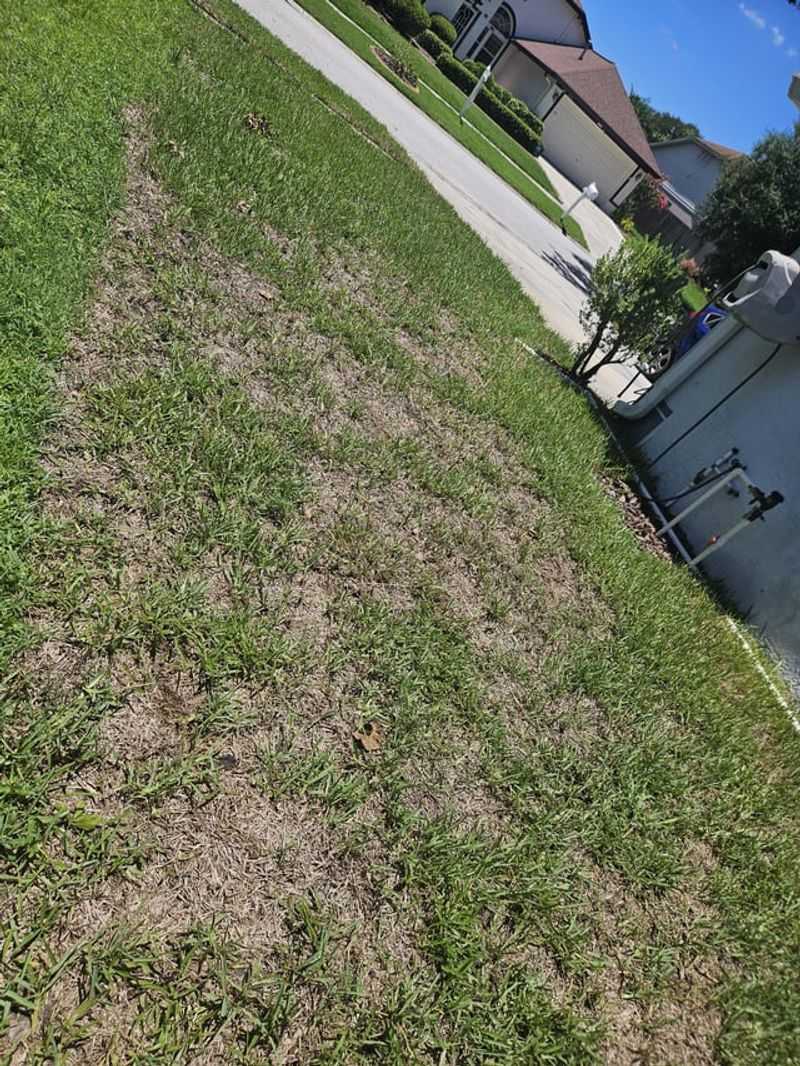 The Golf Course Look Gone Wrong The Golf Course Look Gone Wrong