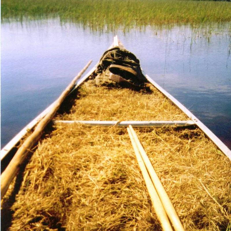 The Grain That Grows On Water The Grain That Grows On Water
