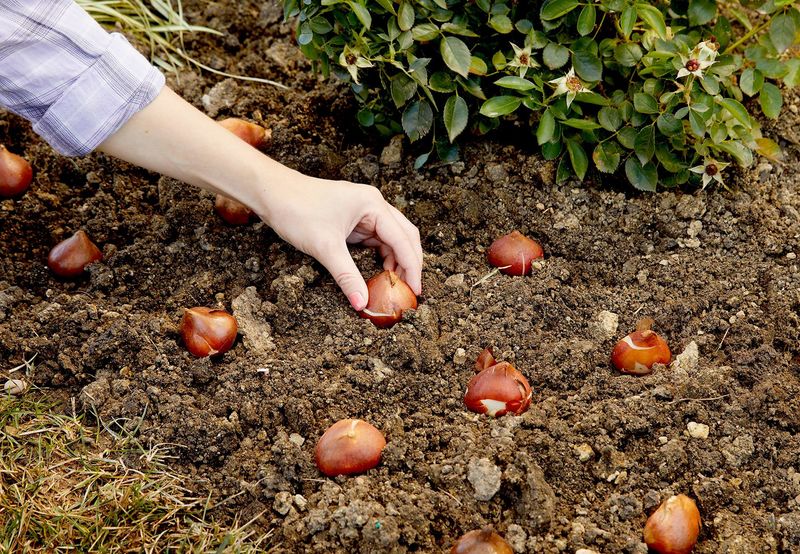 The Ground Matters More Than The Calendar