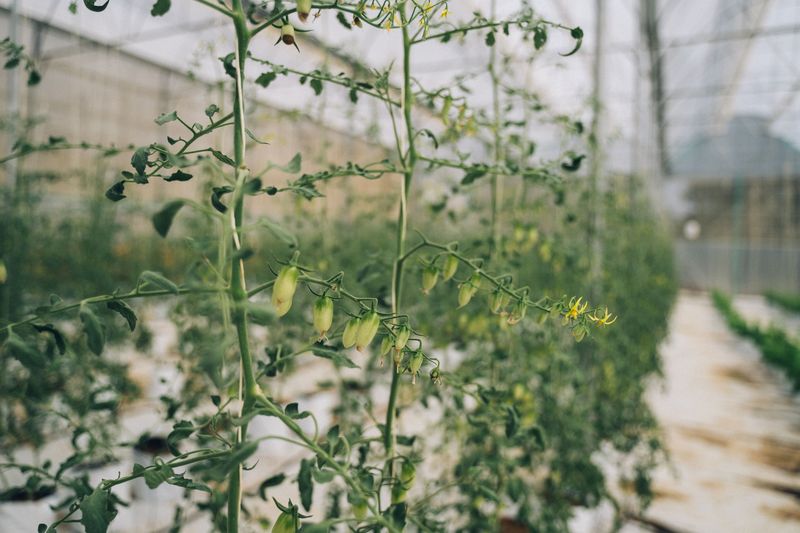 The Habit That Can Slow Down Your Harvest The Habit That Can Slow Down Your Harvest