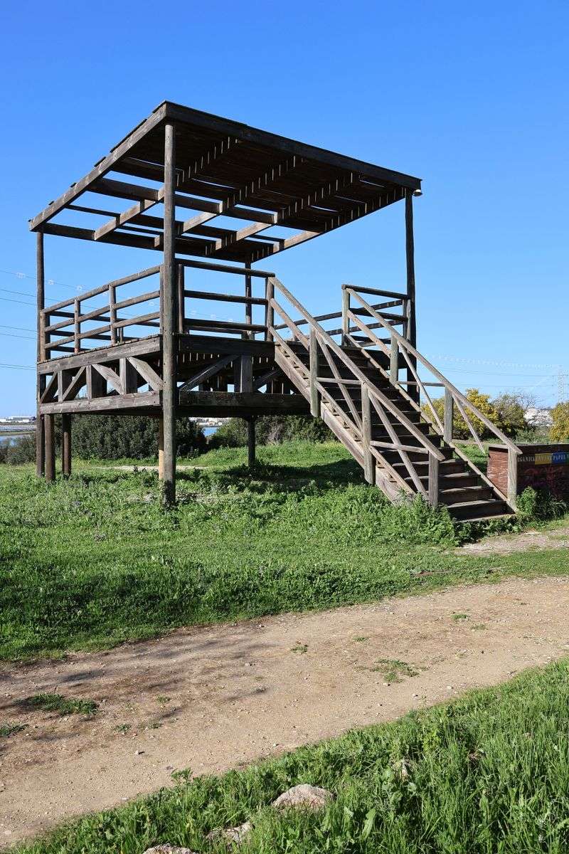 The Hawkwatch Platform Beside The Lighthouse