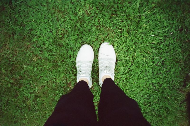 The Lawn Feels Spongy Under Your Feet
