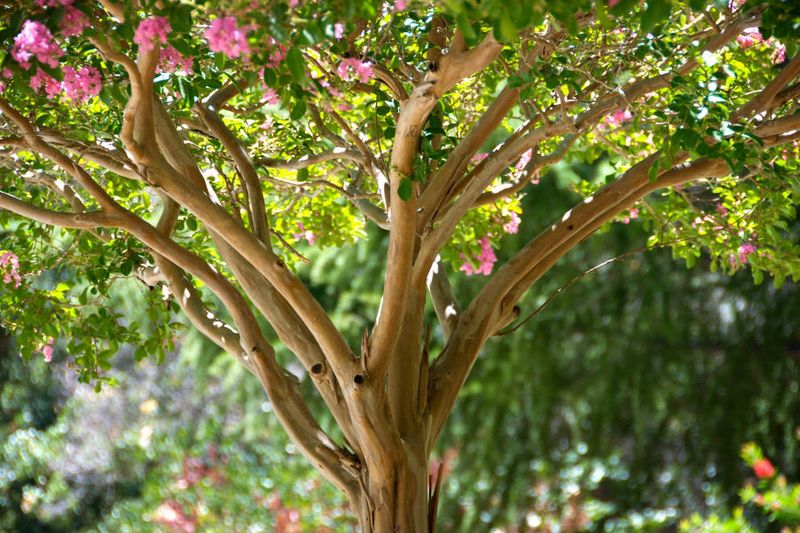 The Main Goal Is No Longer To Push New Growth The Main Goal Is No Longer To Push New Growth
