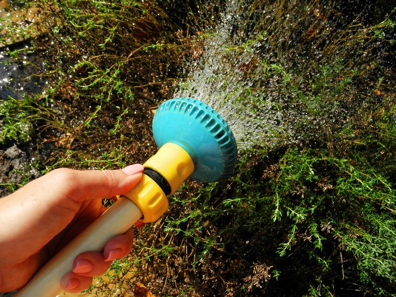 The Mistake Is Keeping Summer Watering Habits The Mistake Is Keeping Summer Watering Habits