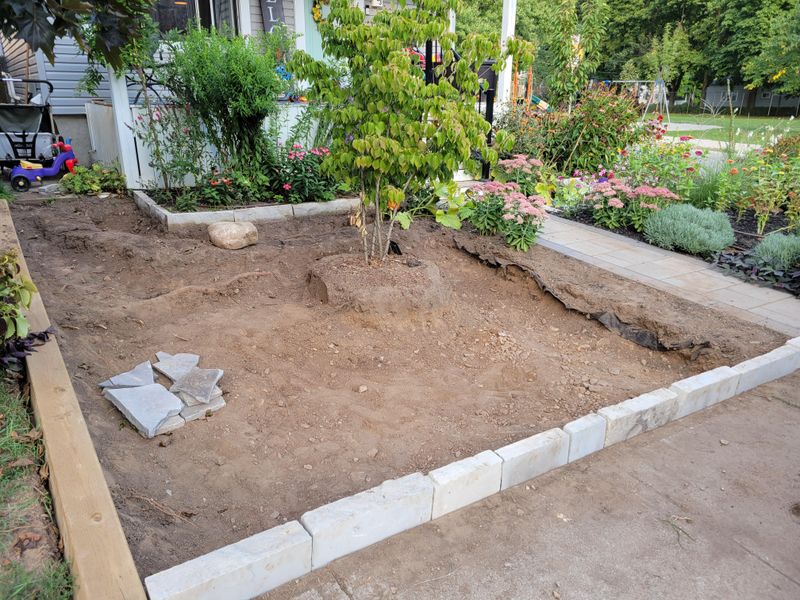 The Mistakes Homeowners Make During Lawn Conversions