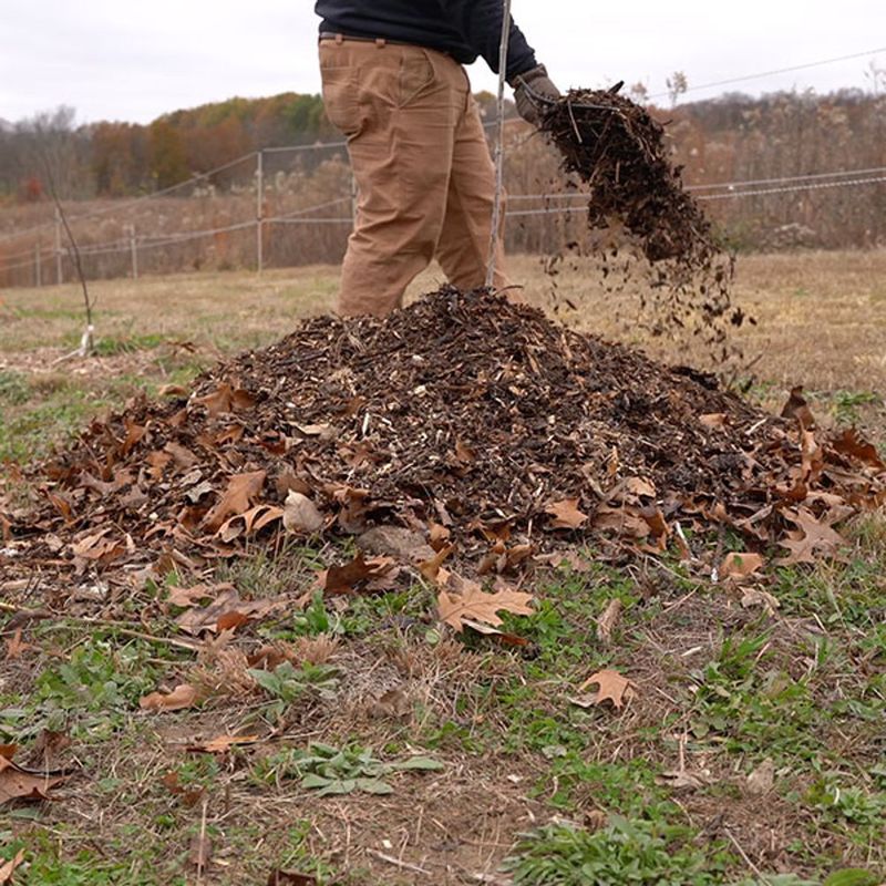 The Most Important Fall Job Starts Under The Tree The Most Important Fall Job Starts Under The Tree