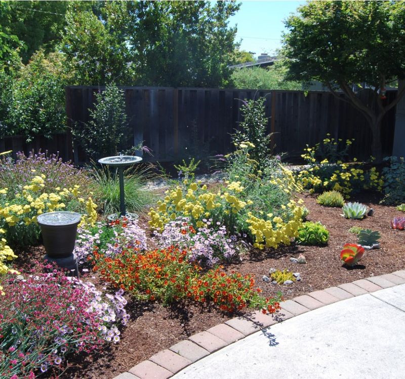 The Native Yards That Can Pass HOA Standards